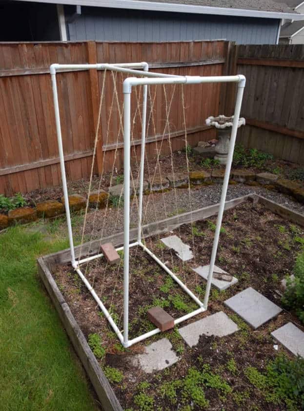 Assemble the Trellis Frame