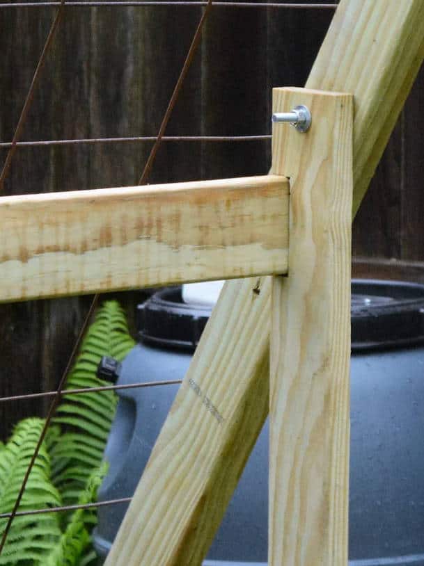 Assemble the Trellis