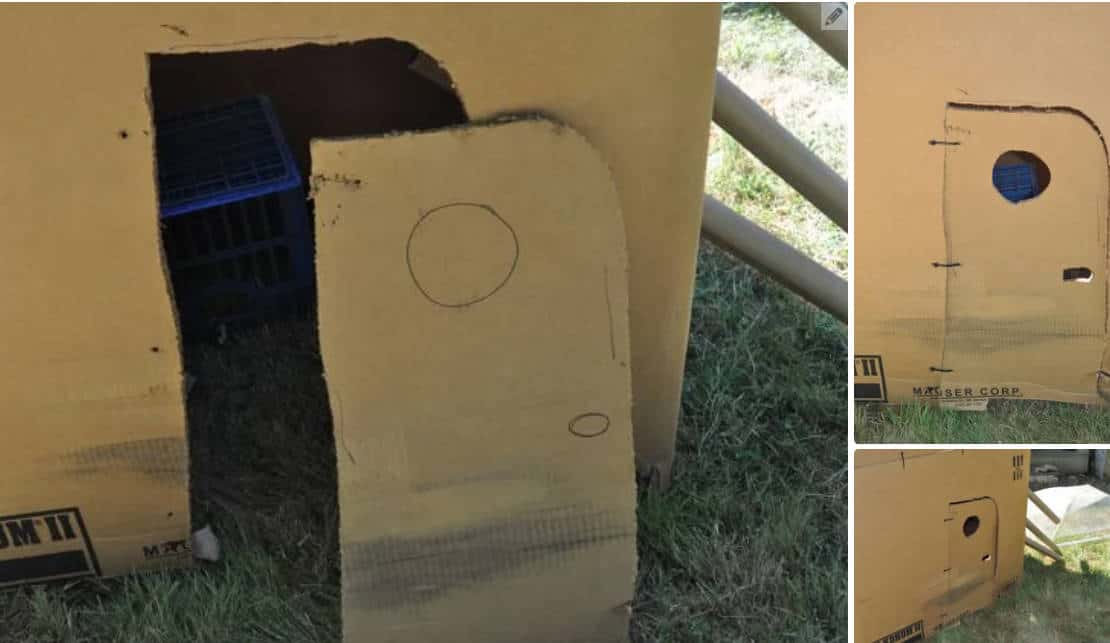 Cut the Doors and Openings