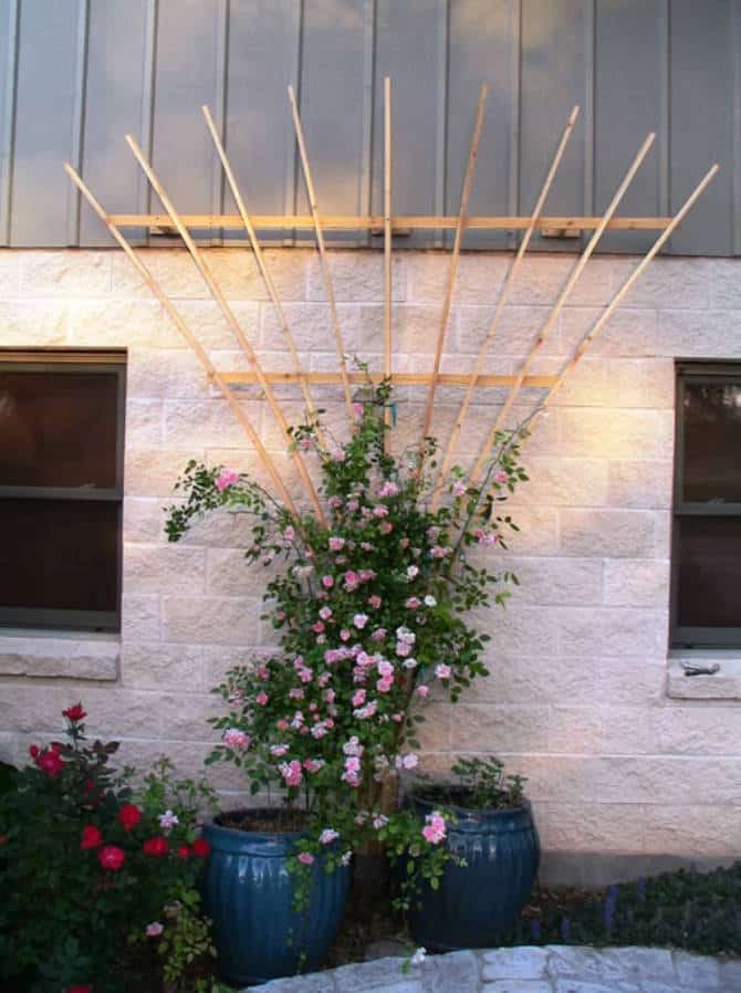DIY Cedar Fan Trellis