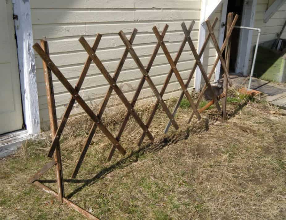 DIY Expandable Garden Trellis