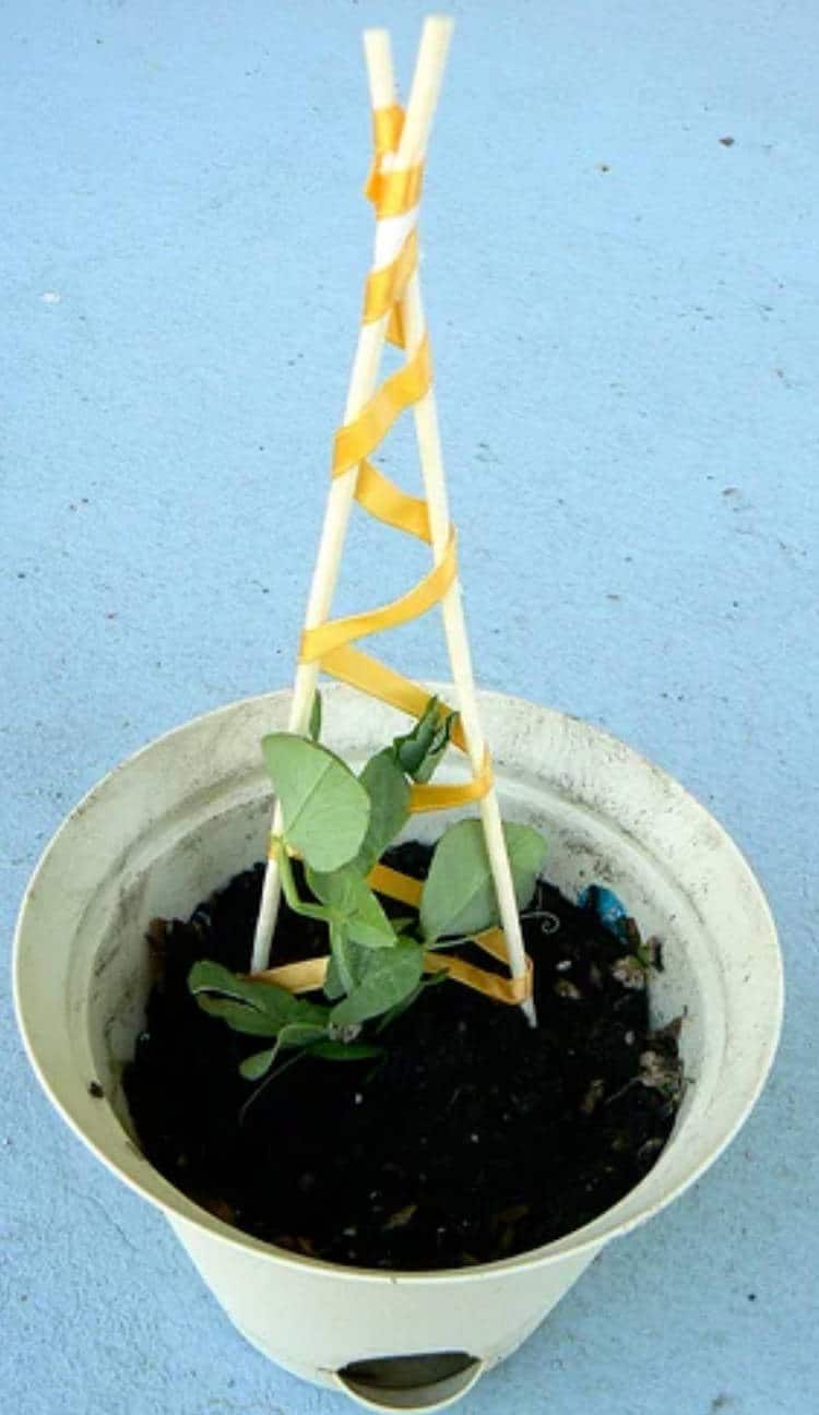 DIY MINI Minute Trellis