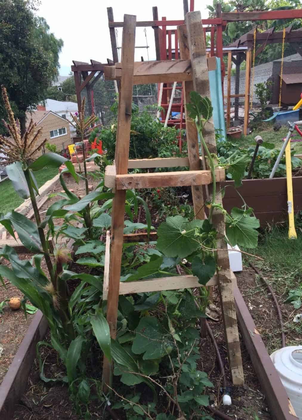 DIY Pallet Garden Trellis