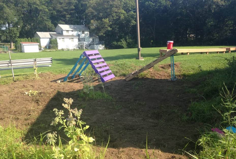 DIY Pallet Trellis