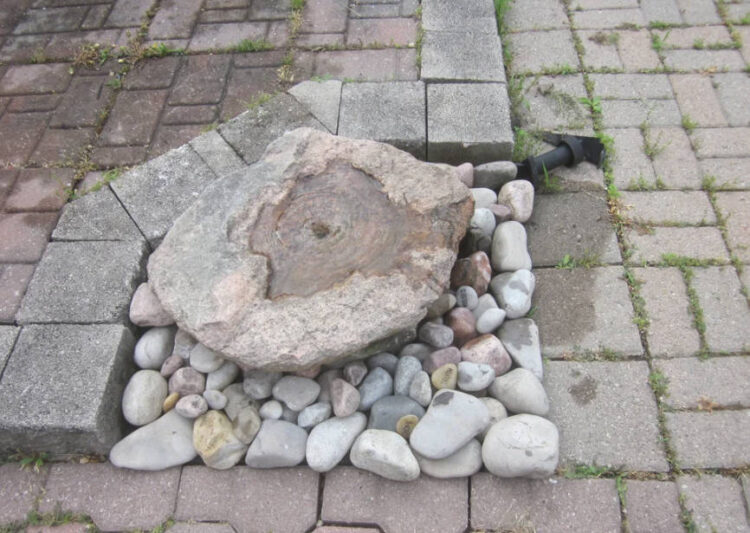 32 Creative Homemade DIY Bird Bath Ideas for Your Garden