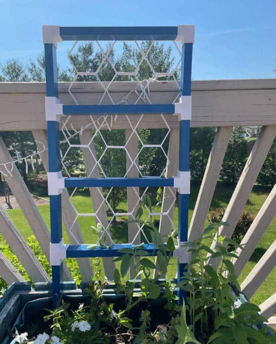 Install and Plant