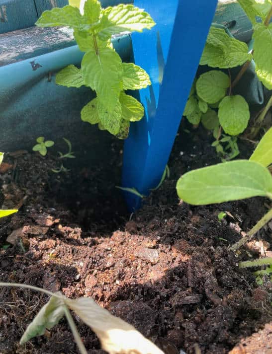 Install and Plant