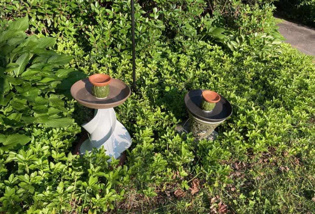 Why This DIY Bird Bath Works