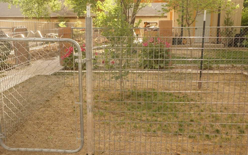 diy-affordable-dog-run