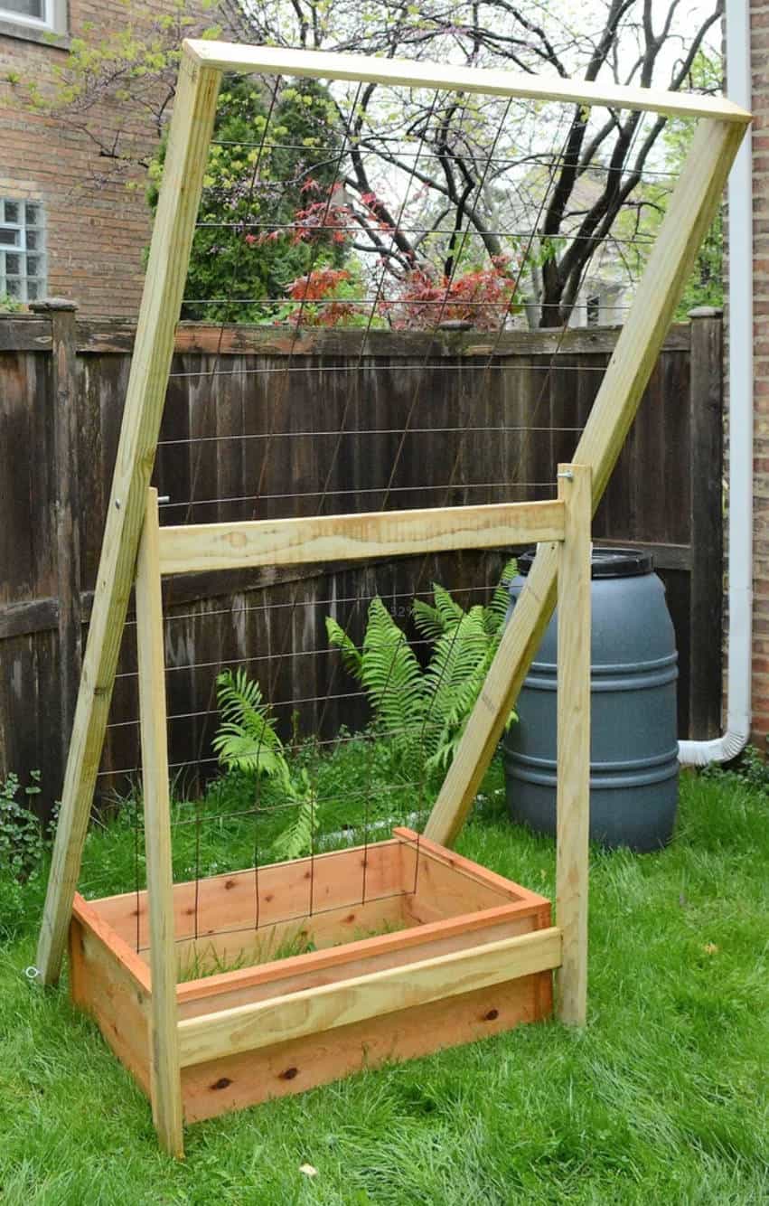 diy-cucumber-trellis-raised-bed