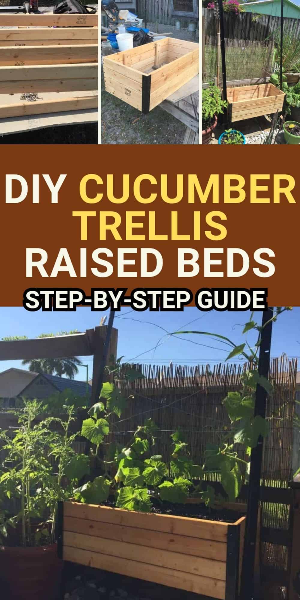diy cucumber trellis raised beds