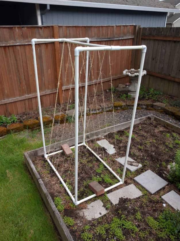 diy-pvc-garden-trellis
