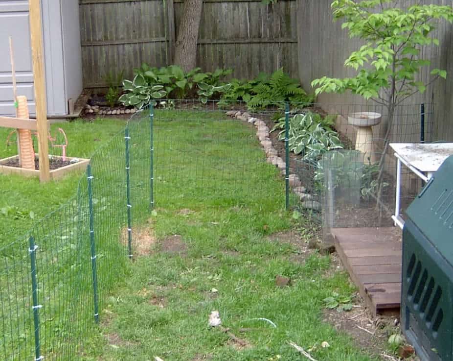 Simple DIY Dog Fence and Deck for Small Backyards