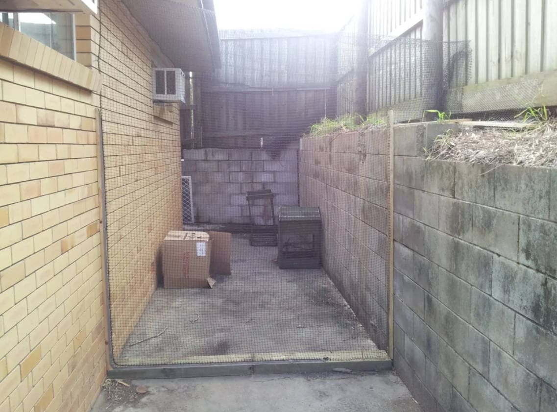 DIY Outdoor Cat Run