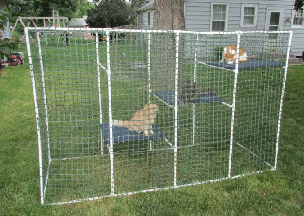 diy-pvc-catio
