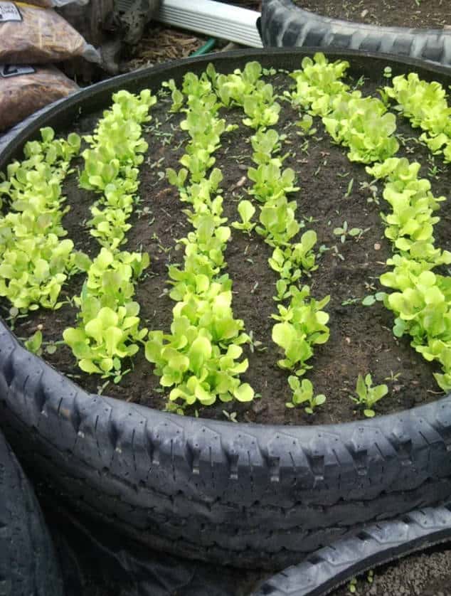 diy-tire-raised-garden-bed